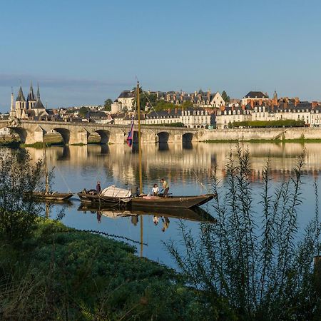 Le Wilson - Vue Imprenable Sur La Loire Et Le Chateau De Blois Eksteriør billede