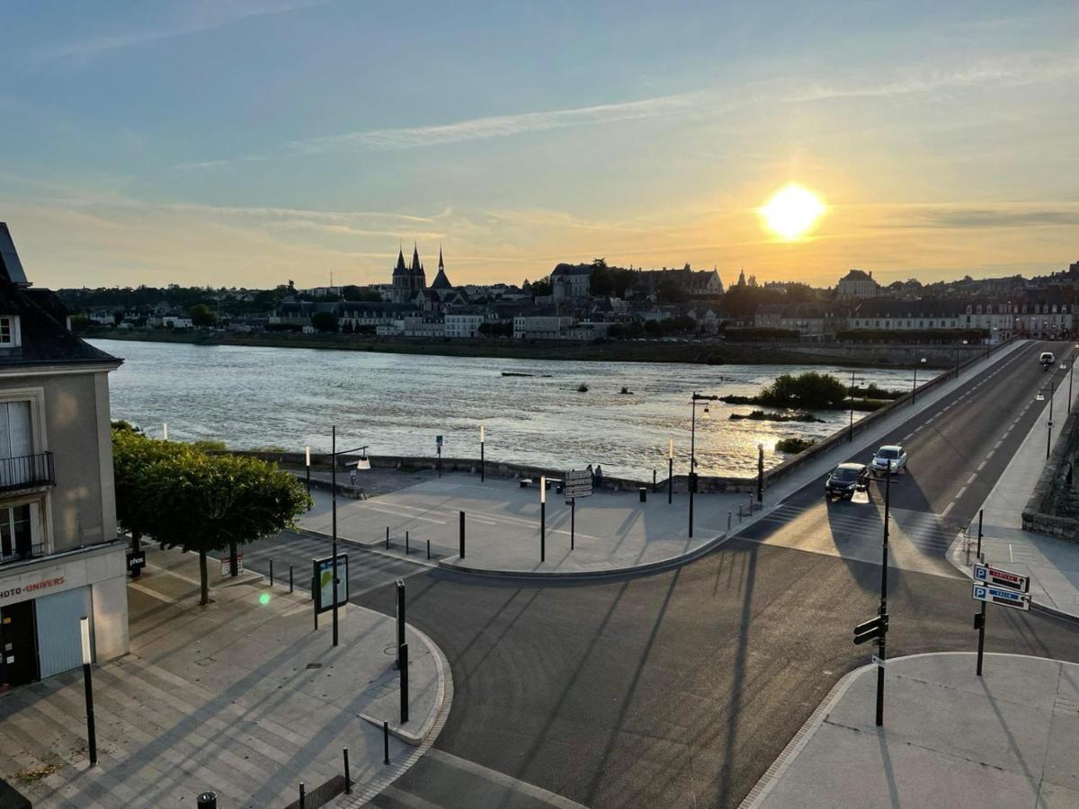 Le Wilson - Vue Imprenable Sur La Loire Et Le Chateau De Blois Eksteriør billede