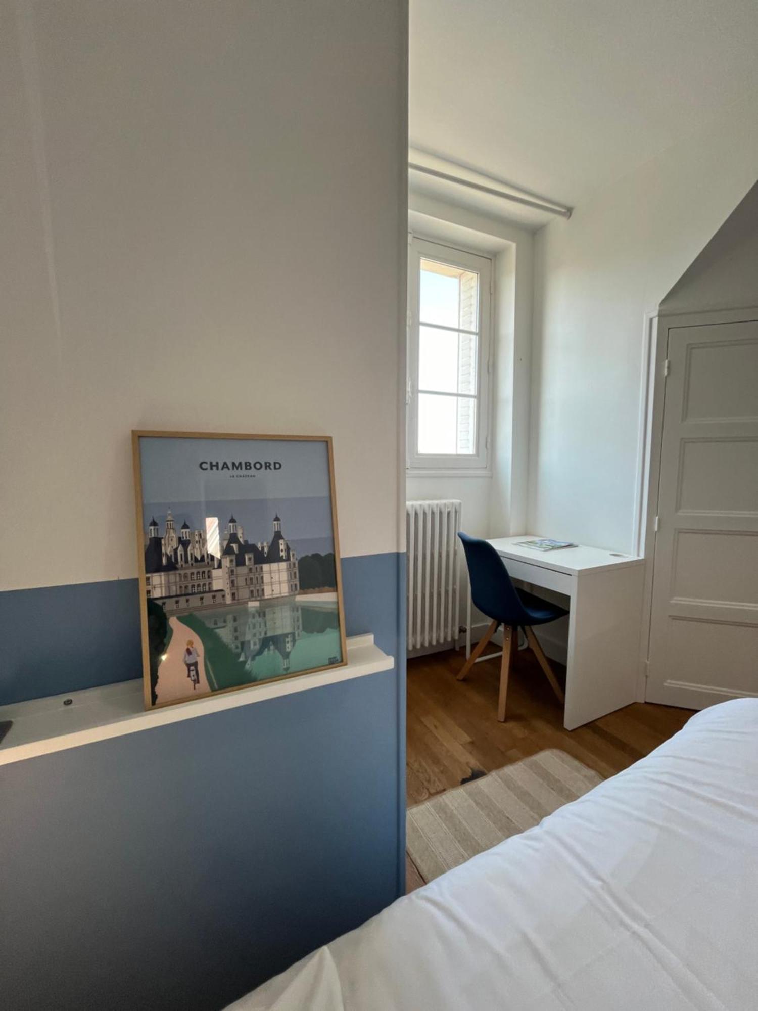 Le Wilson - Vue Imprenable Sur La Loire Et Le Chateau De Blois Eksteriør billede