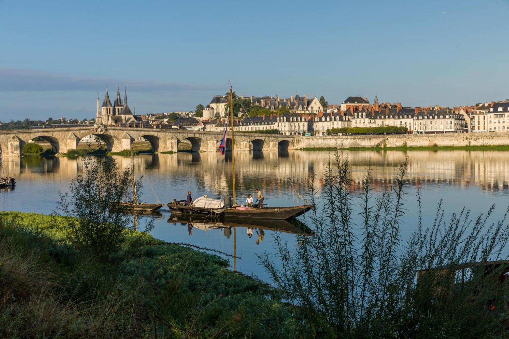 Le Wilson - Vue Imprenable Sur La Loire Et Le Chateau De Blois Eksteriør billede
